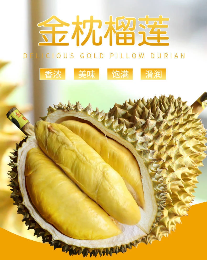(新鲜现拨)(纯肉约1.5斤/AA级)泰国金枕老树榴莲(不支持退单)