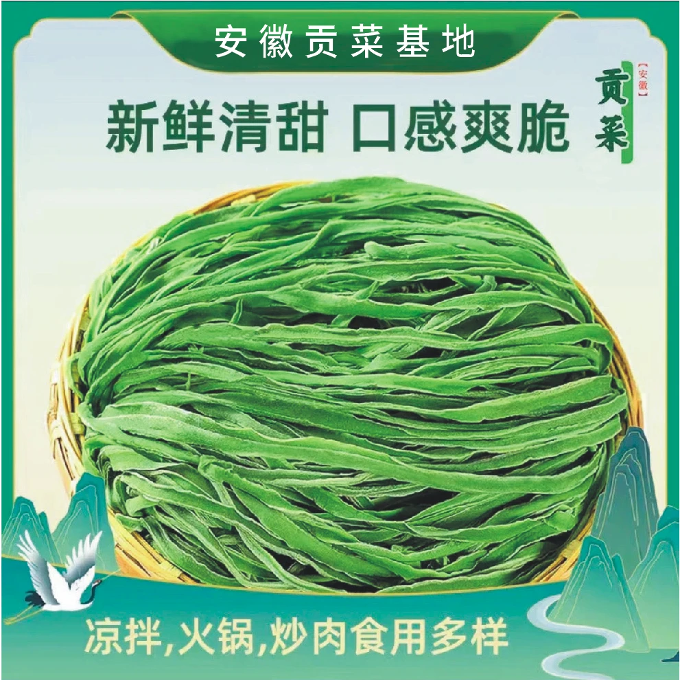 批发安徽干贡菜干80g*3袋（一袋泡发约300g菜苔干脱水蔬菜鲜嫩新鲜