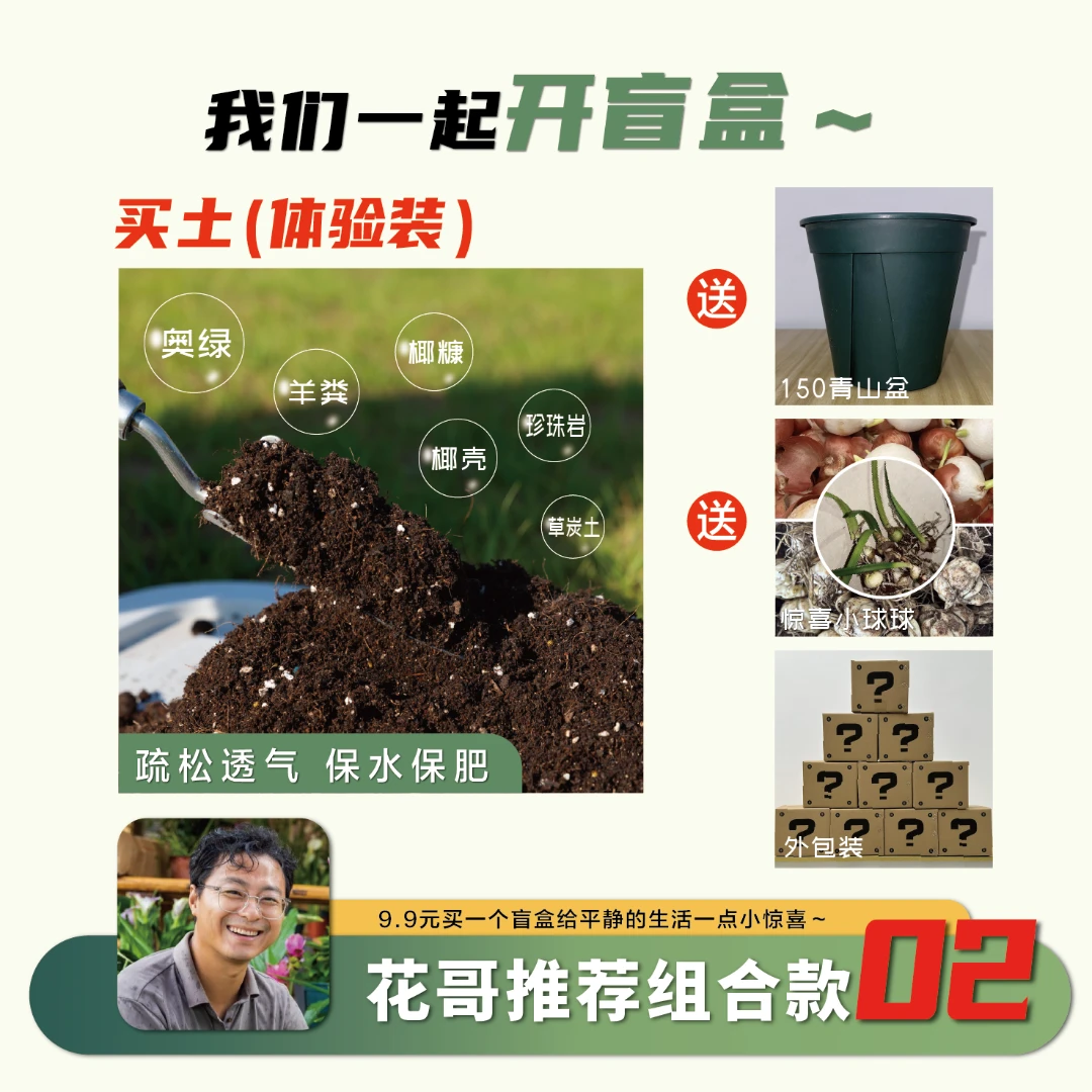 营养土体验装【02】花哥配的营养土通用型赠花盆加小惊喜赠品无售后