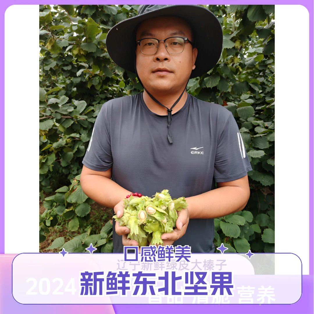 东北新鲜带青皮大榛子东北坚果2025