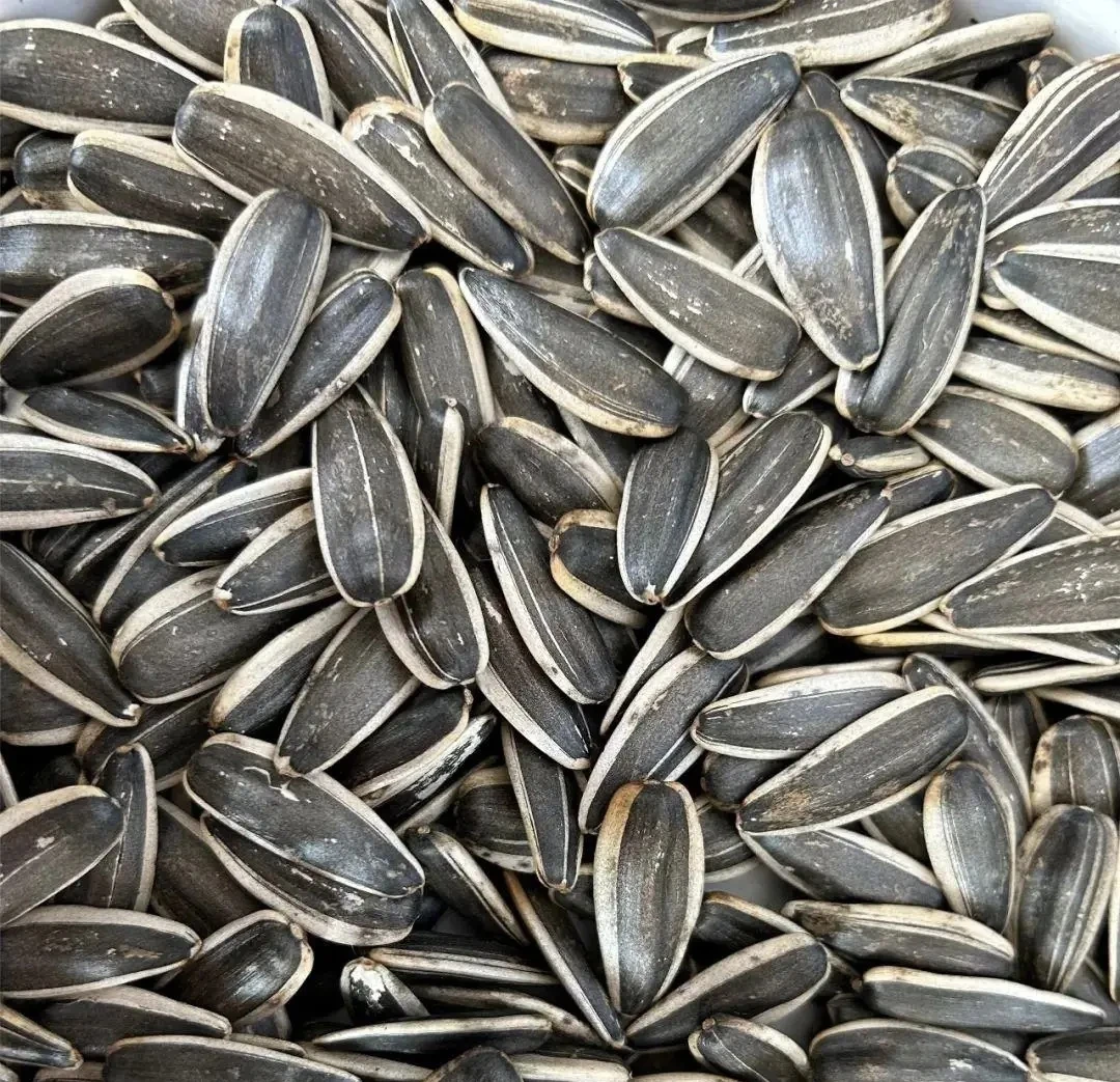 金河 干炒原味瓜子500克