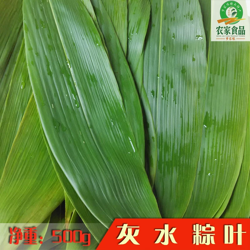 粽子叶碱水粽包装叶子手工农家新鲜采摘灰水粽子叶赣州定南500g
