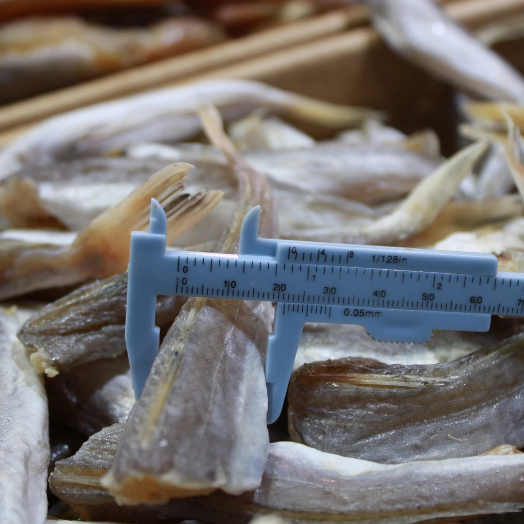 红头鱼红娘鱼咸鱼海鲜特产当季新货腌制鱼非干货无头鱼湿的