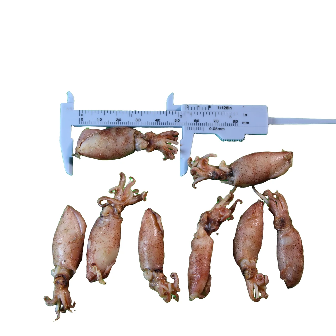 整乌海兔干小籽乌笔管鱼鱿鱼干墨鱼干乌贼干海鲜干货批发当季新货