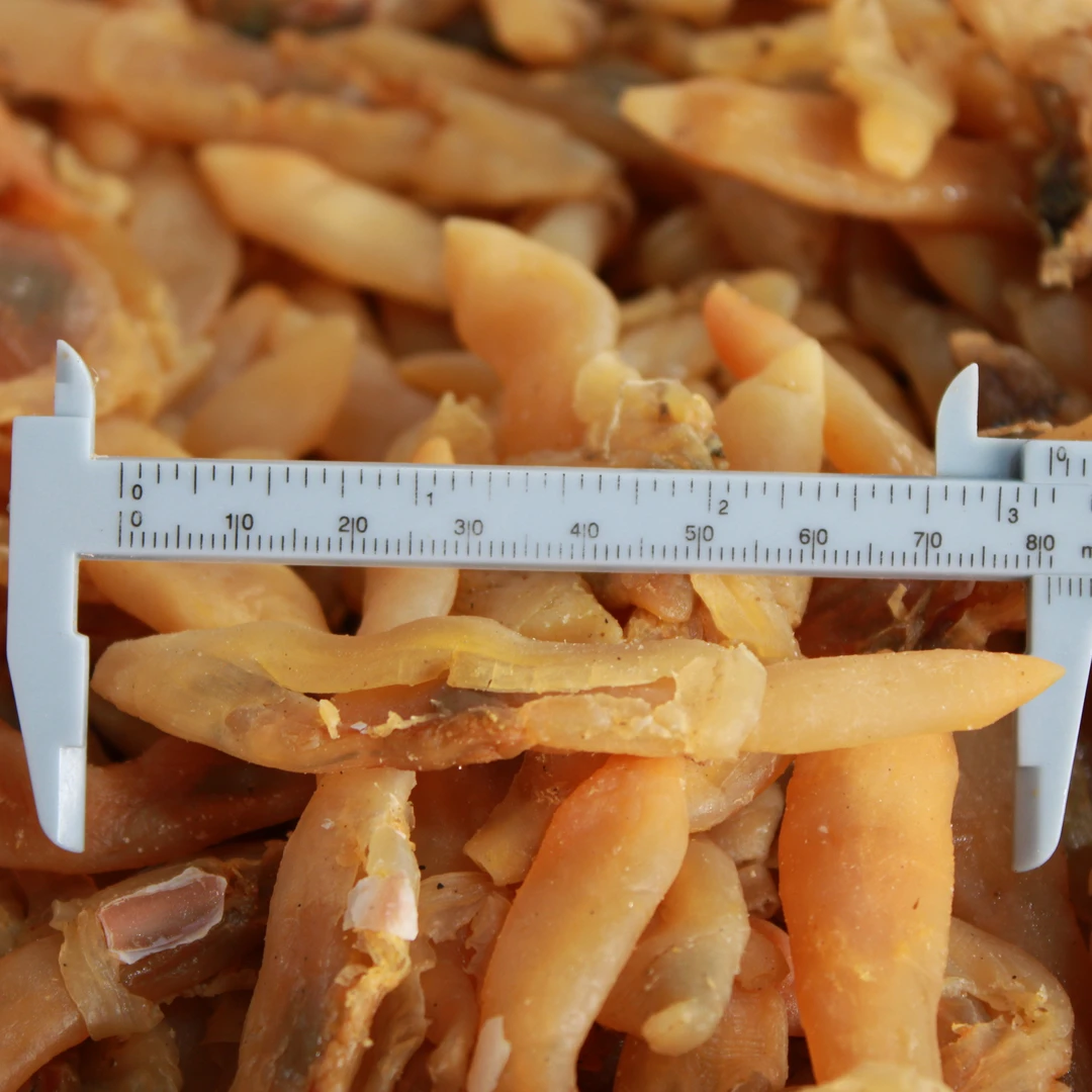 苏北有沙蛏肉蛏子去壳海鲜干货熬汤食材无漂白蛏子王有沙非即食