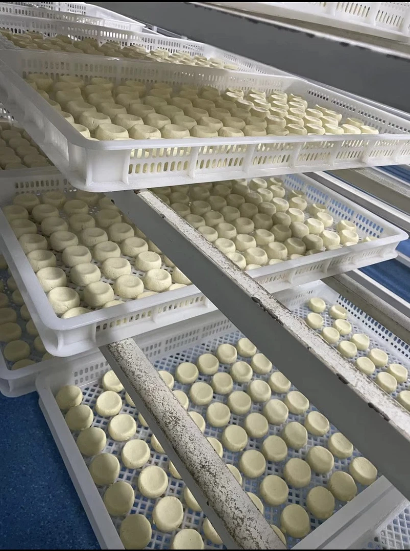 Tuzluk Kurut 咸味酸奶疙瘩【新疆包邮】