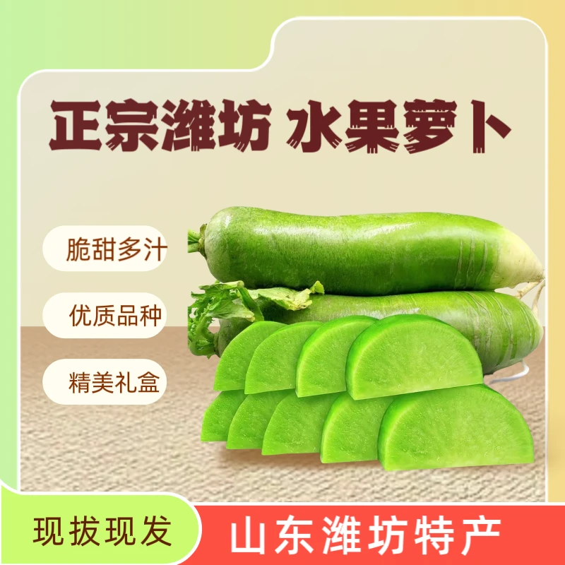 【源头直发】正宗潍坊水果萝卜生吃清脆潍坊特产二十年老店品质