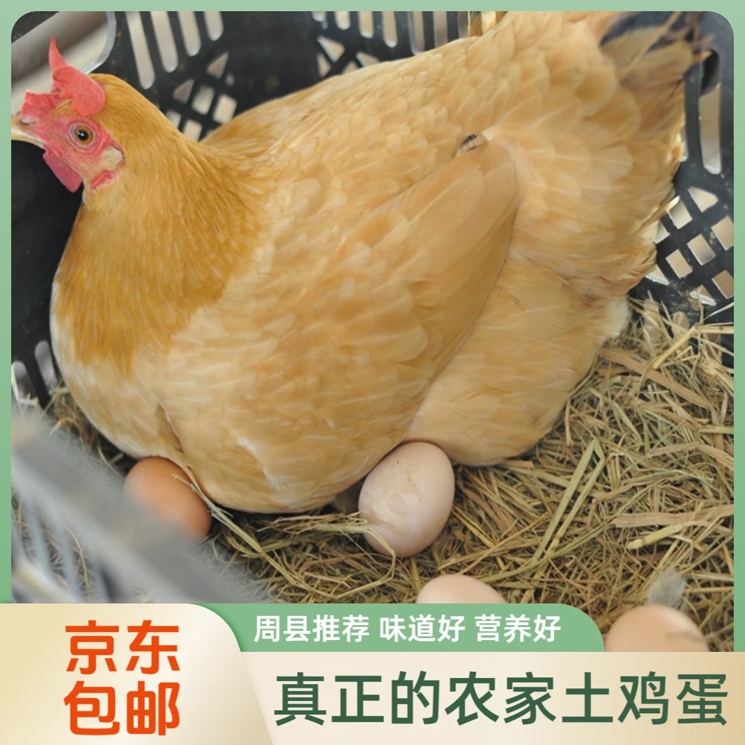 土鸡蛋【县长推荐】大别山区留守老人潢川本地养殖笨鸡蛋京东包邮