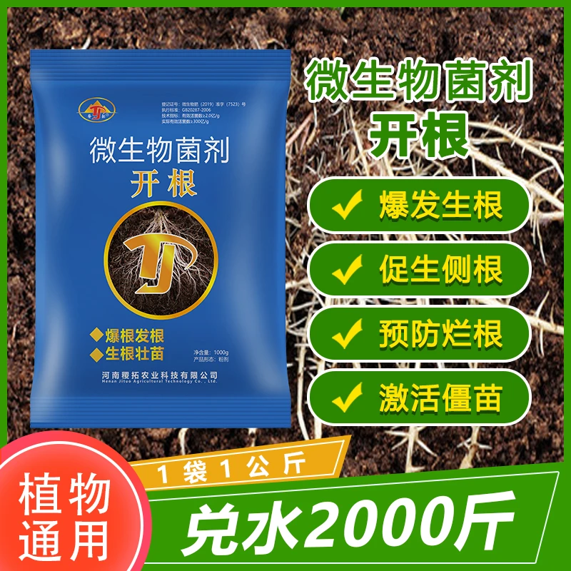 微生物菌剂促进生根壮苗爆根发根改善土壤壮根壮苗通用制剂农业