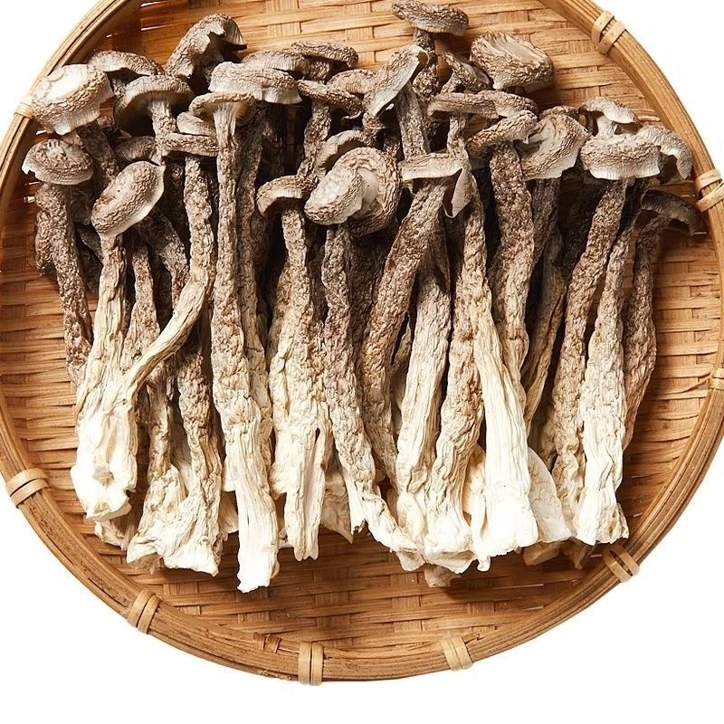鹿茸菇农家高山特产250g