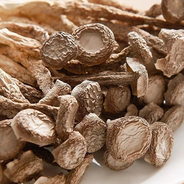 鹿茸菇农家高山特产250g