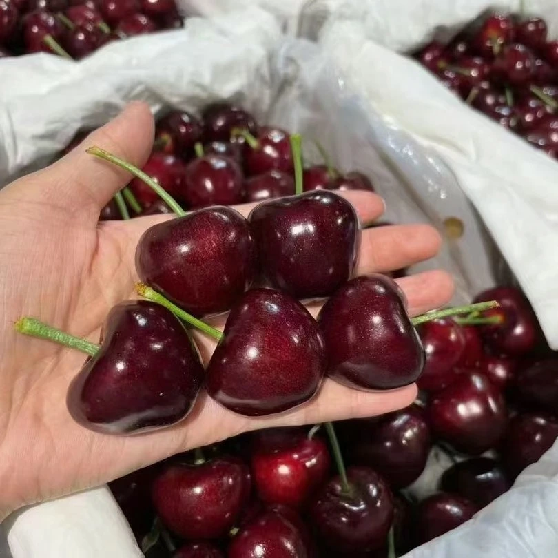 【新疆包邮】智利车厘子海运桑提娜3J/2.5公斤/件原箱 内附果径卡