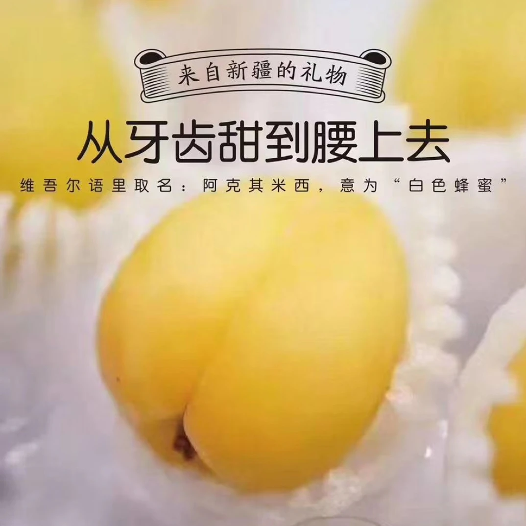 新疆小白杏一件3.6斤左右顺丰包邮