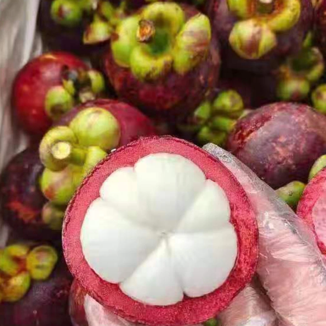 5A泰国山竹甜果肉白毛重7.5公斤