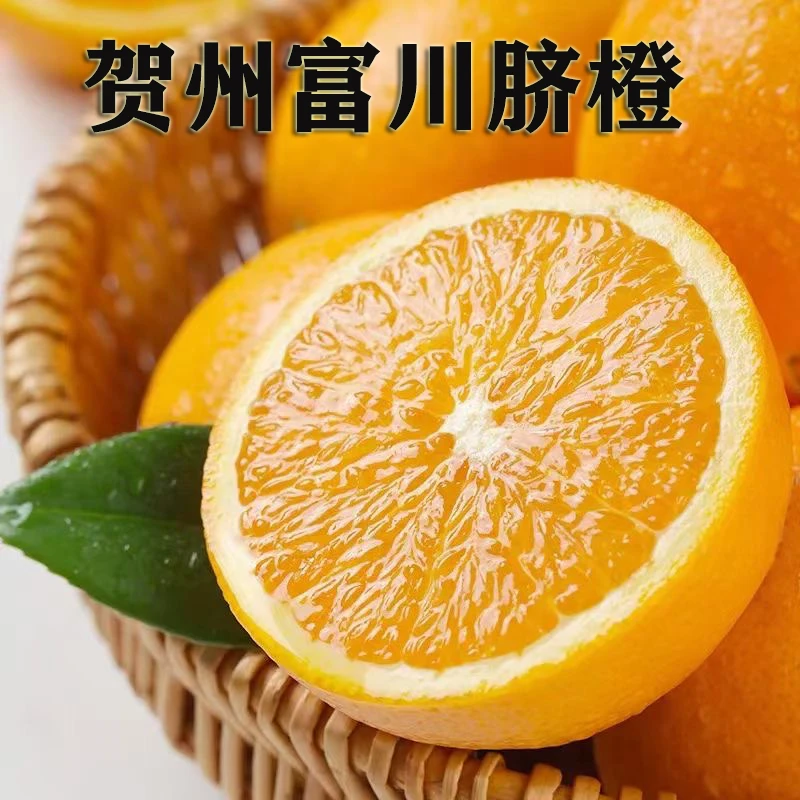 正宗富川脐橙原产地直发当季新鲜采摘橙子皮薄肉厚汁水多5斤/9斤