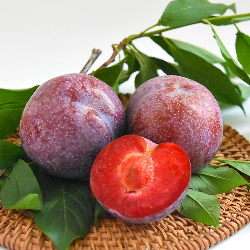 广西贺州正宗三华李现采现摘新鲜水果当季新鲜红心三华李红肉李子