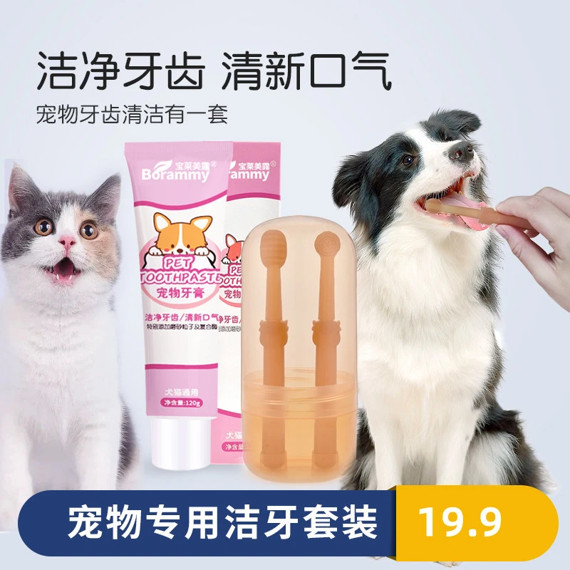 牙刷牙膏套装牙刷软糯口腔舒适清洁牙膏可食用牙齿清新通用干净