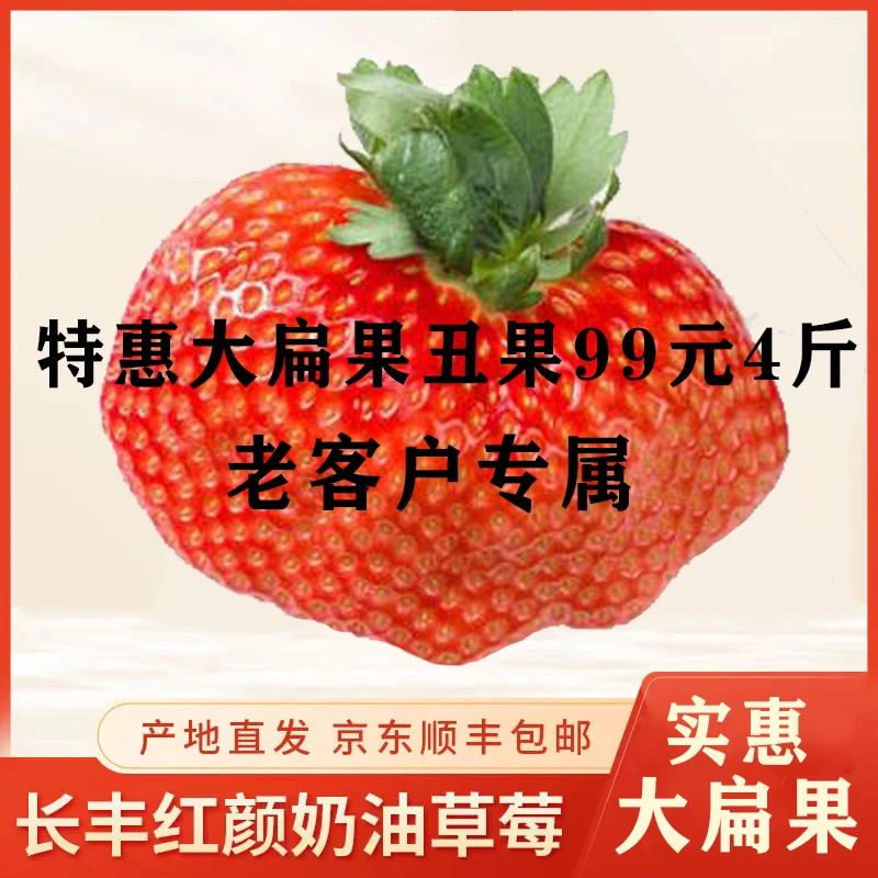 长丰红颜奶油草莓【实惠大扁果】4斤
