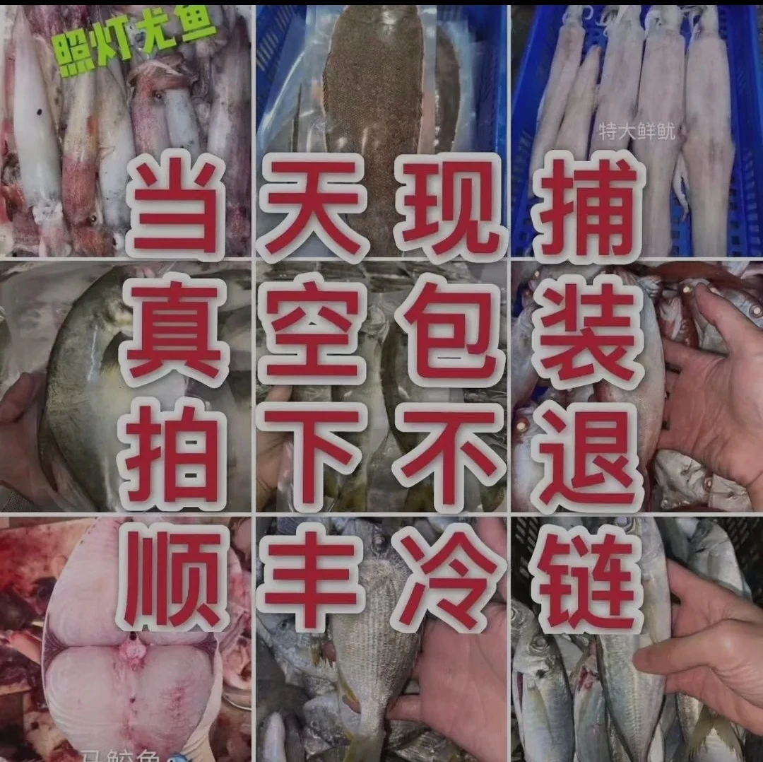 《1》现场代购 神泉港 海鱼5斤-10