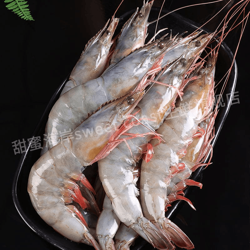 甜蜜海岸sweet coast丹东家海洋大虾4050规格 活体单冻 3.5斤左右