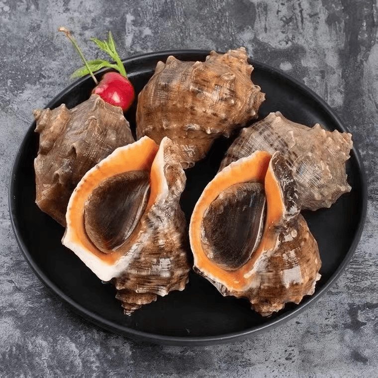 甜蜜海岸sweet coast扬帆家连云港发货 新鲜 海螺 三斤鲜甜饱满