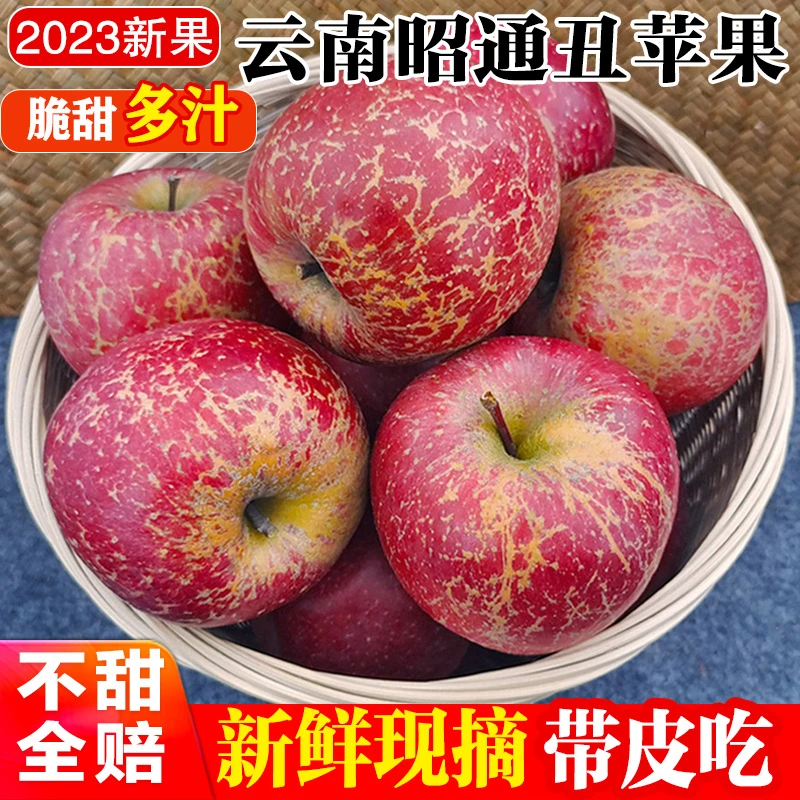 当季新鲜水果脆甜多汁3斤丑苹果9斤包邮云南昭通原产地现摘现发