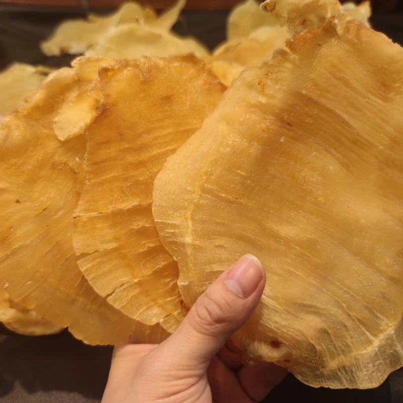 膳养 大耳赤嘴鳘鱼胶花胶 鱼胶滋补干货 100g-500g 中国广东