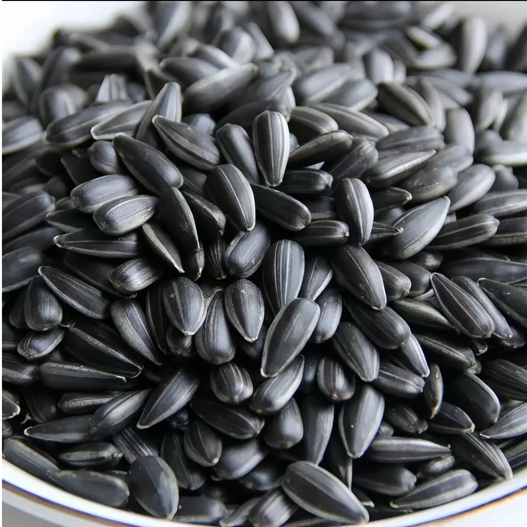 【足斤足两】内蒙正宗黑珍珠小瓜子小黑瓜子奶香原味油葵葵花籽零食