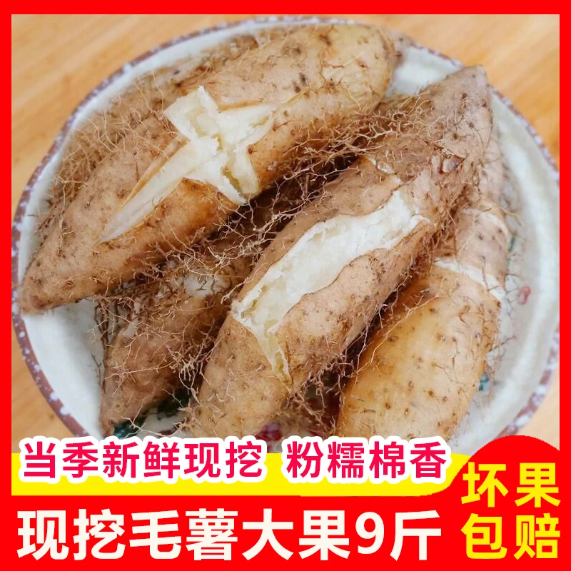 正宗茂名新鲜毛薯白心田薯粉糯毛山药现挖甜薯3斤5斤9斤包邮