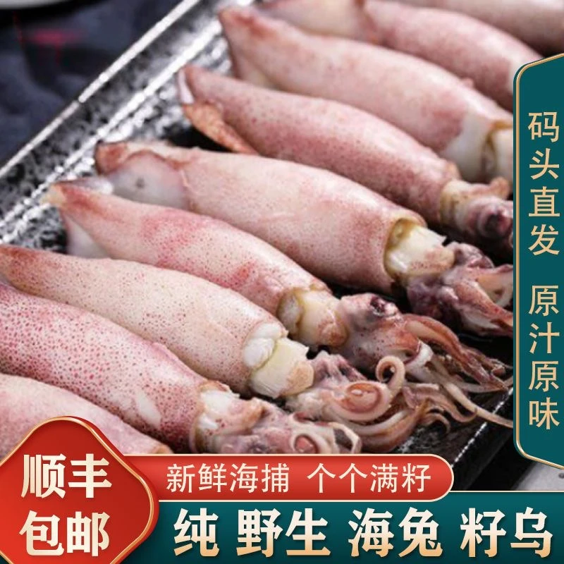 原籽无沙新鲜全籽带籽籽乌冷冻熟海兔子墨鱼斗鱼笔管鱼鱿鱼火锅