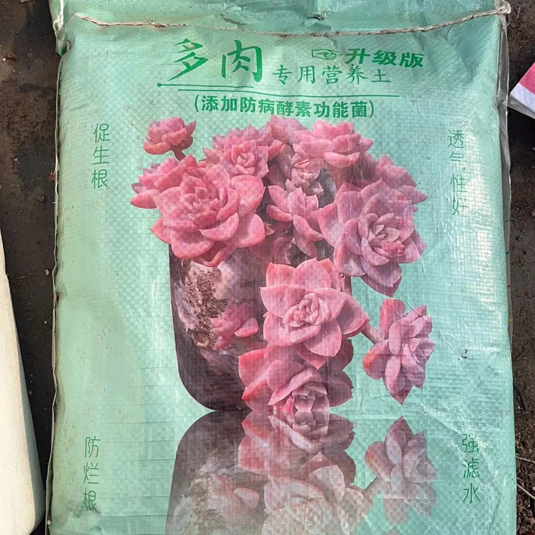 多肉营养土下单就包邮  适合新手简单