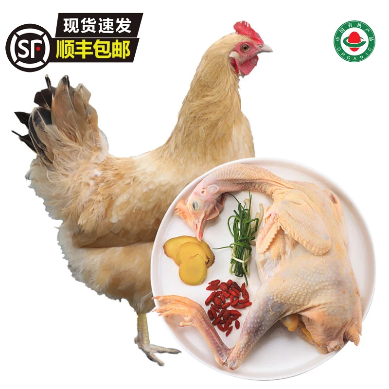老母鸡林下散养2年皖南老母鸡 土鸡走地鸡原产地直发