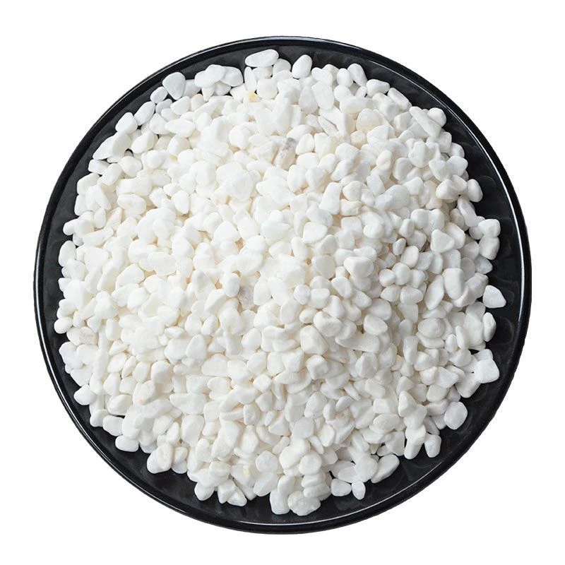 打磨小白石子石头大鹅卵石庭院铺路铺地白色石子园林造景白鹅软石