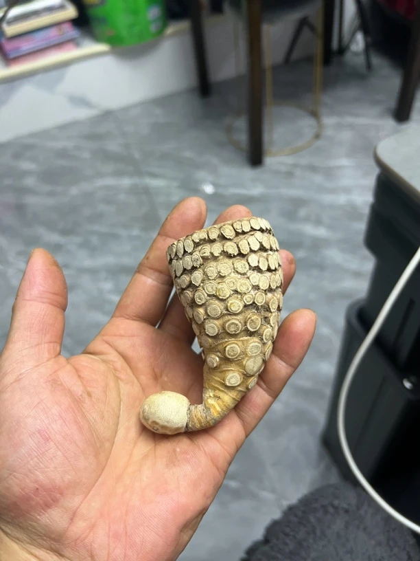 金竹异型斗(子直播售卖实物为准)