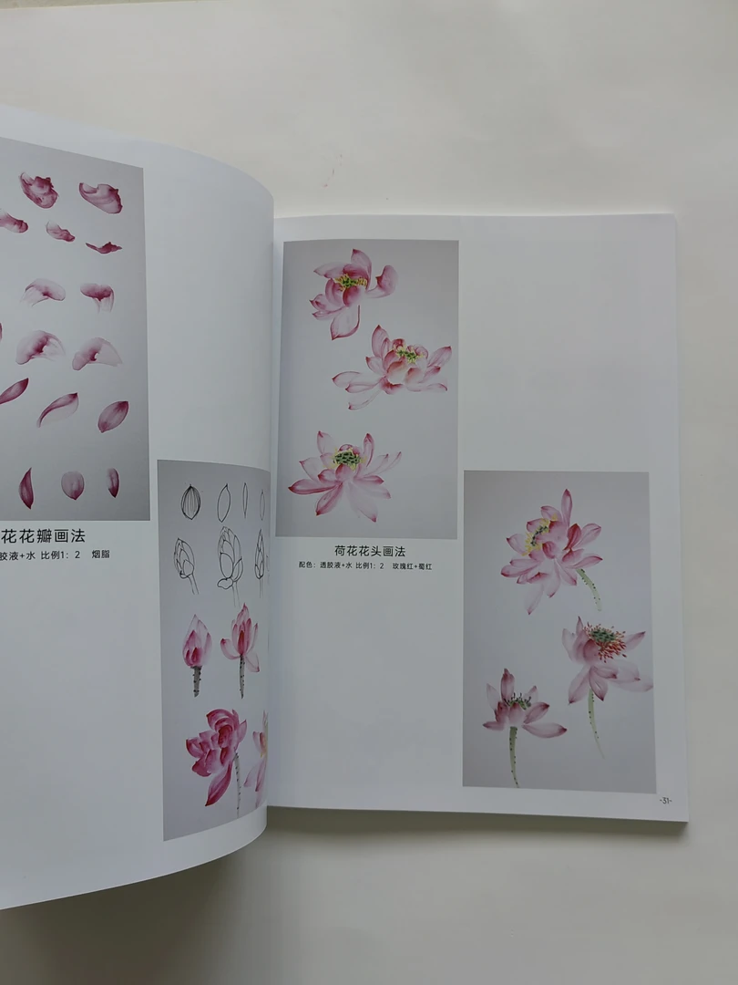 淡惠轩学习画本册，送基础课讲解