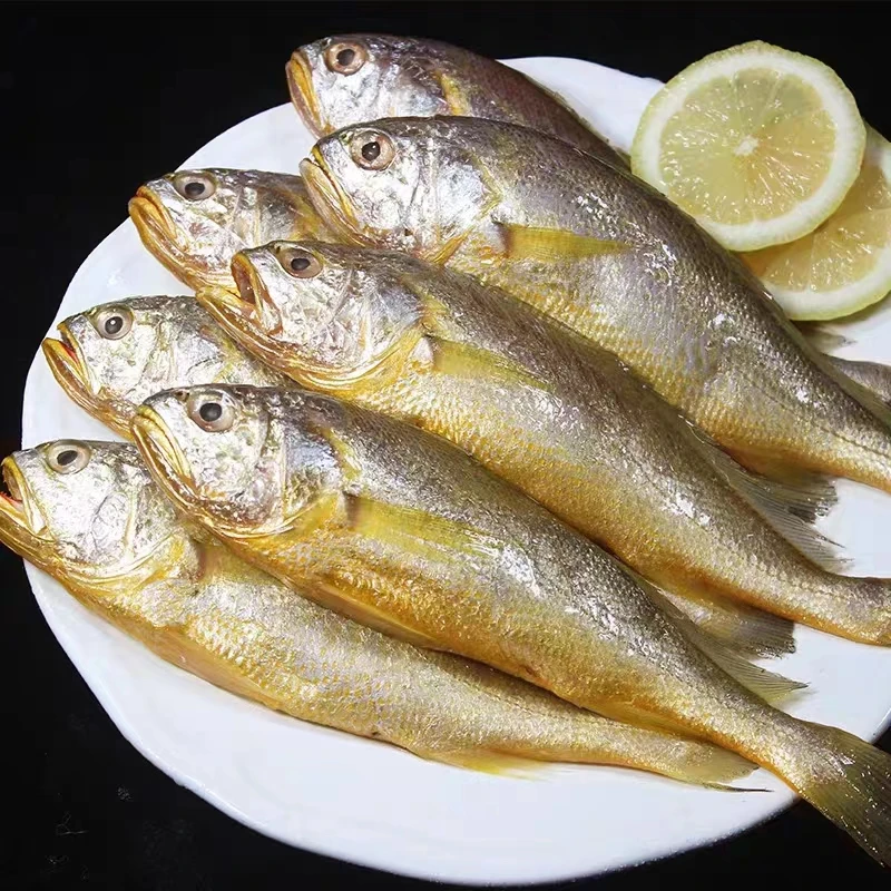 舟山小黄鱼梅鱼新鲜海捕鲜嫩鲜美海洋产品深海鲜活速冻