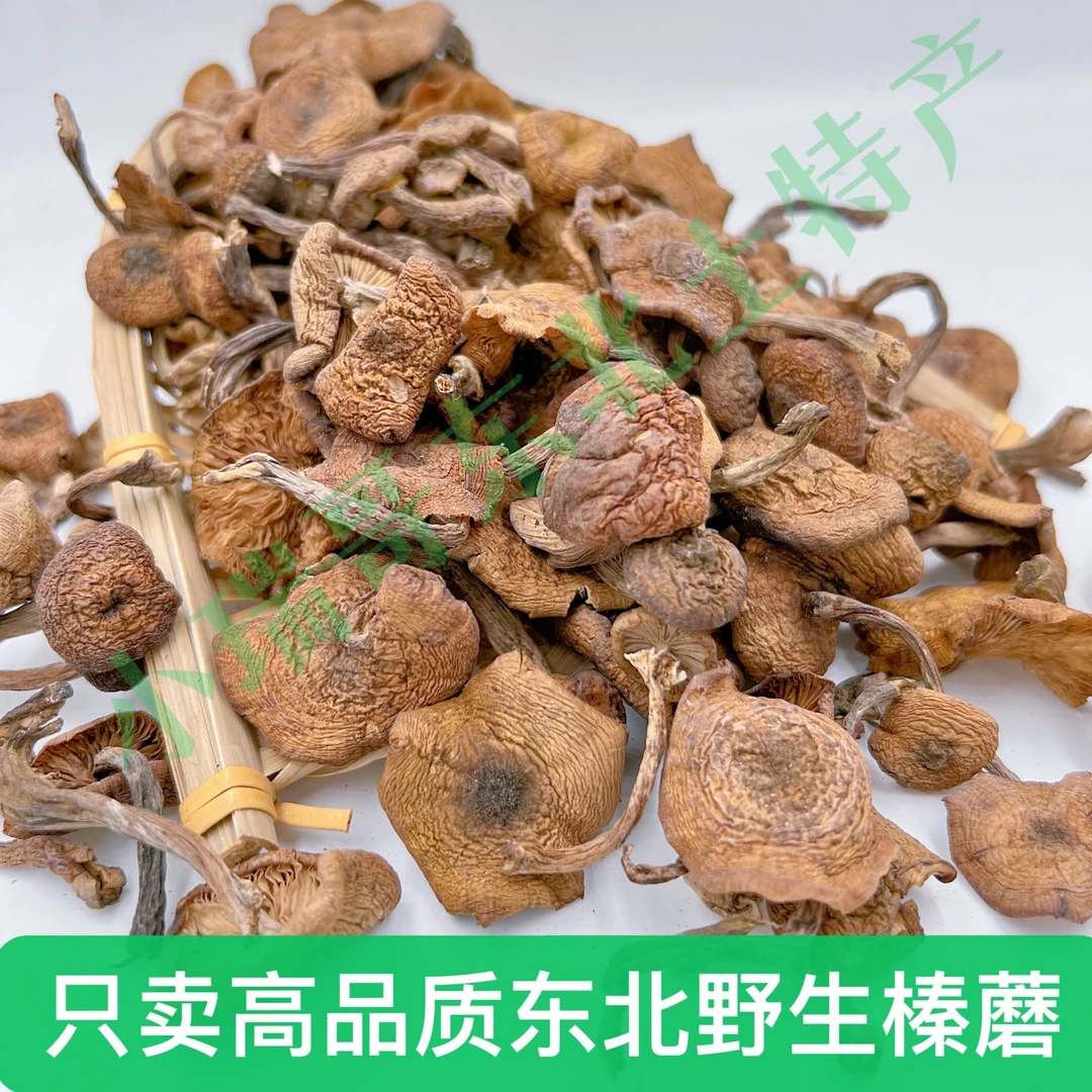 【榛蘑+赠人参】 东北野生自然晾晒榛蘑无硫熏无色素榛蘑小鸡炖蘑菇
