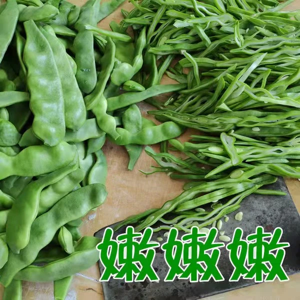 干豆角丝豆角干 油豆角干 干豆角东北干菜