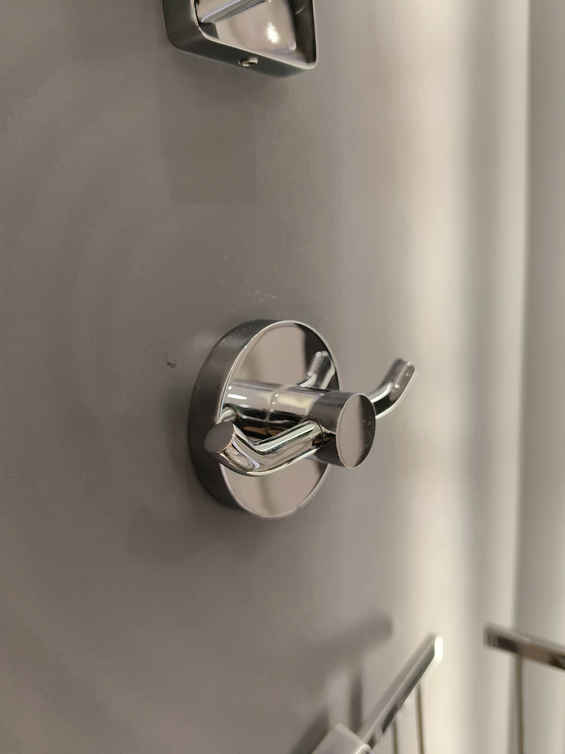 德国唯宝卫生间挂衣钩型号TVA15101200061