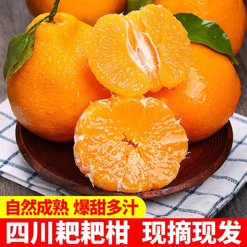 正宗四川春见耙耙柑5/9斤桔子新鲜水果当季整箱粑粑柑橘子