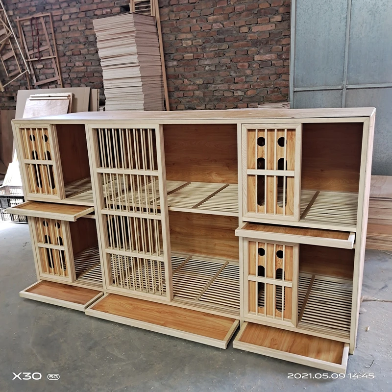 阿木的家小型鸽舍一雄双雌一公两母一配二一雄多雌配对笼厂家直销