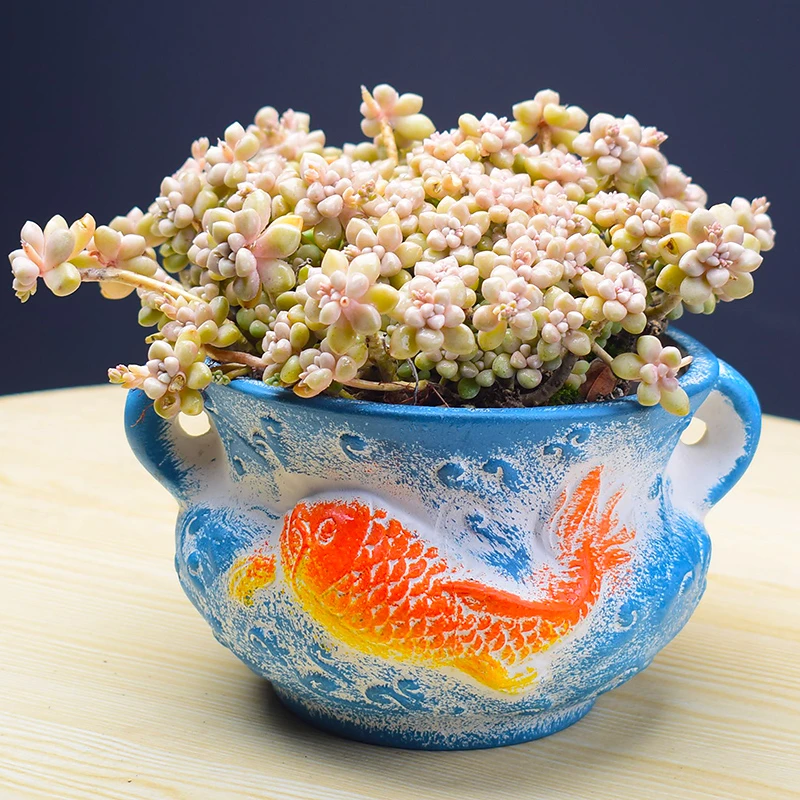 新品个性创意双耳好运锦鲤大口径花盆大号复古多肉盆器工厂直销