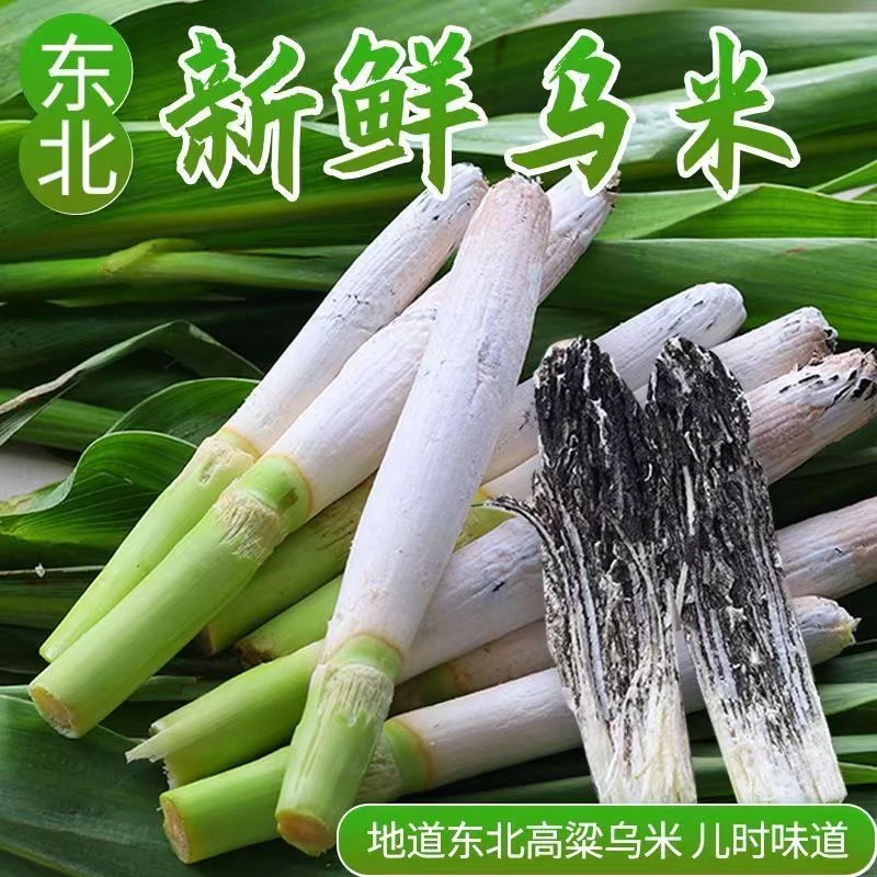 东北吉林梨树县新鲜乌米10-20根顺丰空运
