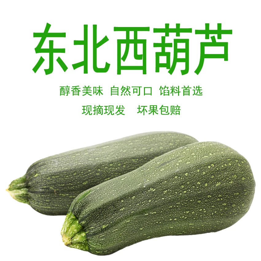 东北吉林梨树县老茭瓜 适合做面食馅的西葫芦