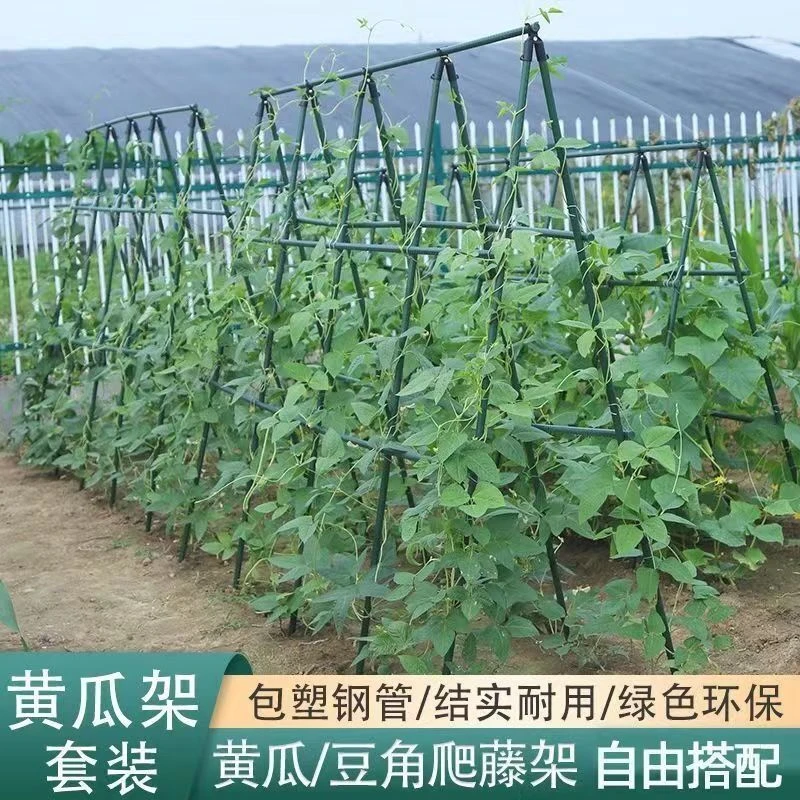 黄瓜支架豆角架西瓜架菜园爬藤架庭院必备园艺花支架子种菜架包邮
