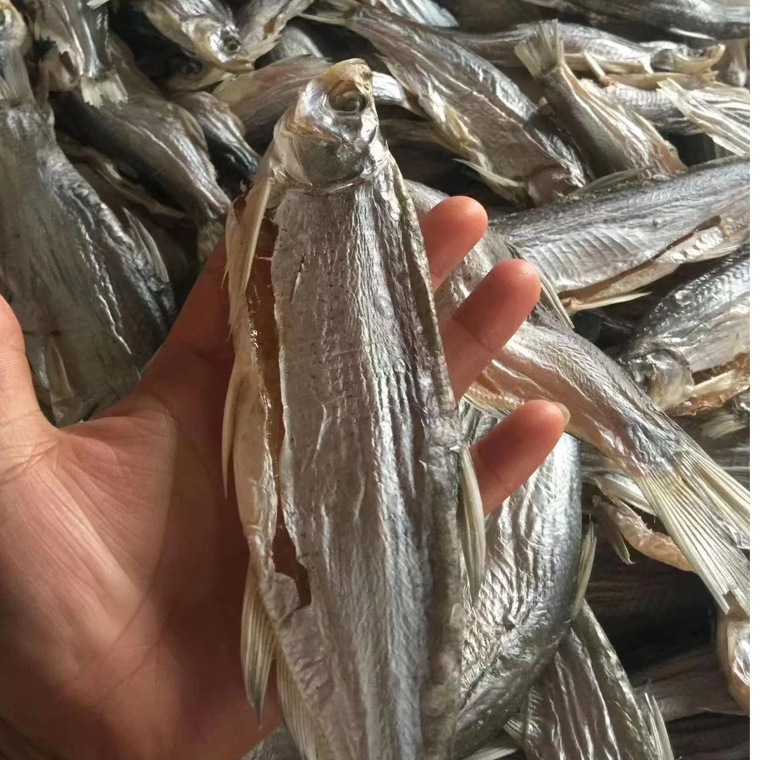 干鱼白条巧嘴鱼小干鱼咸干鱼