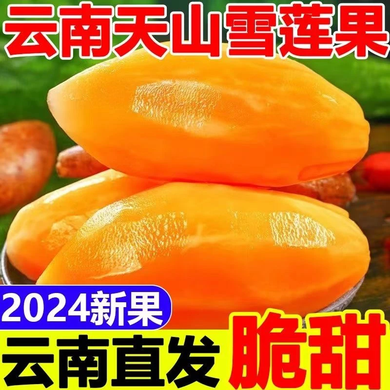 2025年云南天山雪莲果现挖现发
