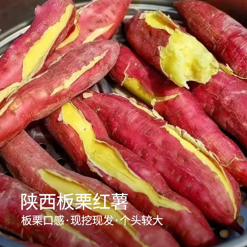 【新隆生鲜】陕西板栗红薯3斤/5斤/8.5斤装干面粉糯H