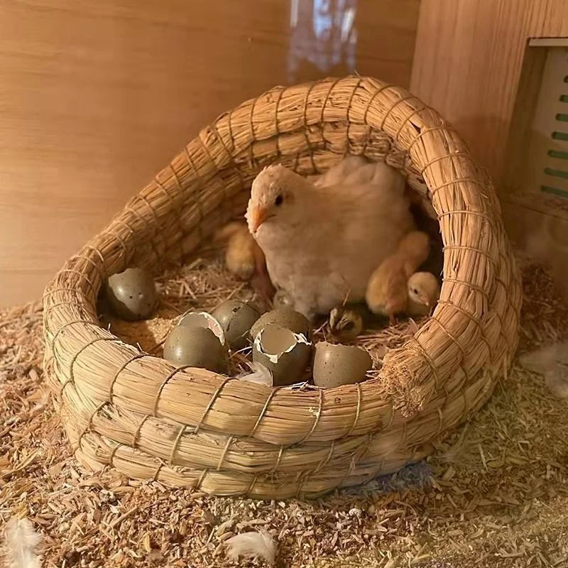 芦丁鸡窝造景芦丁鸡草窝产蛋窝宠物用品鹦鹉鸟窝芦丁鸡下蛋窝草窝