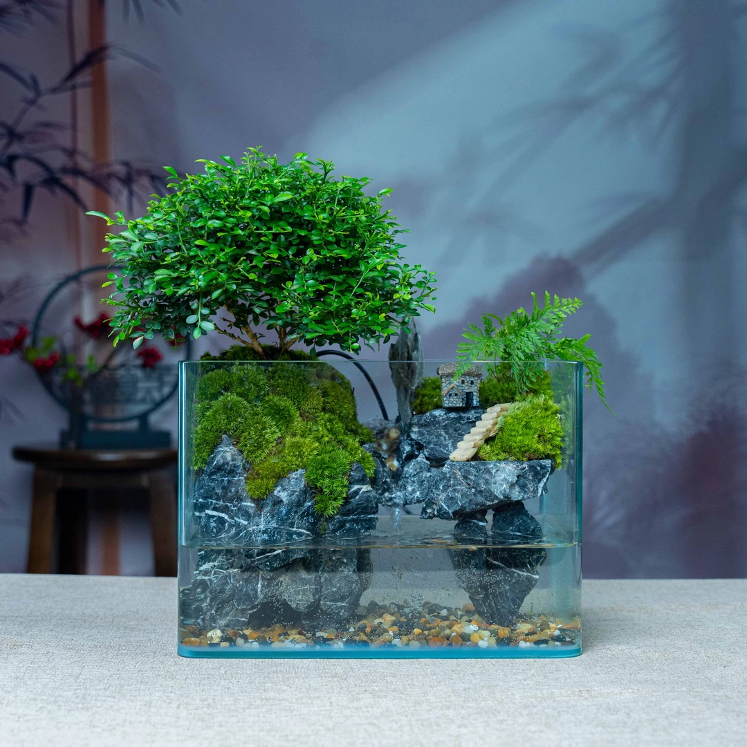 达摩九里香流水景观-尺寸长25宽16高18厘米成品创意桌面景观